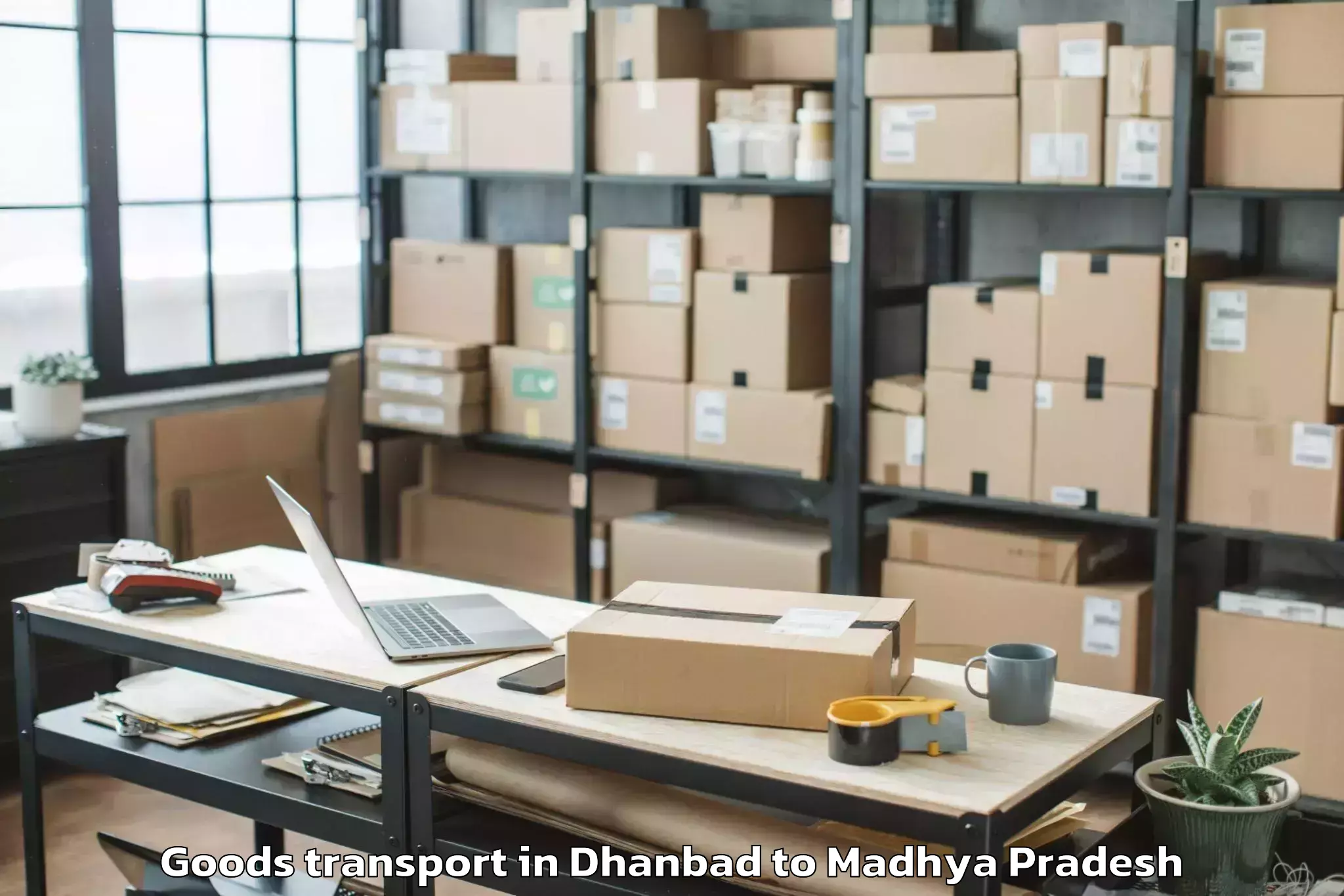 Hassle-Free Dhanbad to Shivpuri Goods Transport